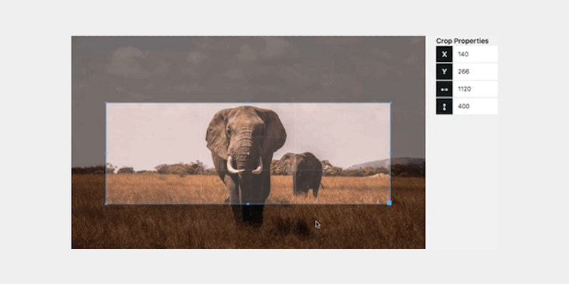 Visual Image Crop Field | Kirby CMS Plugins